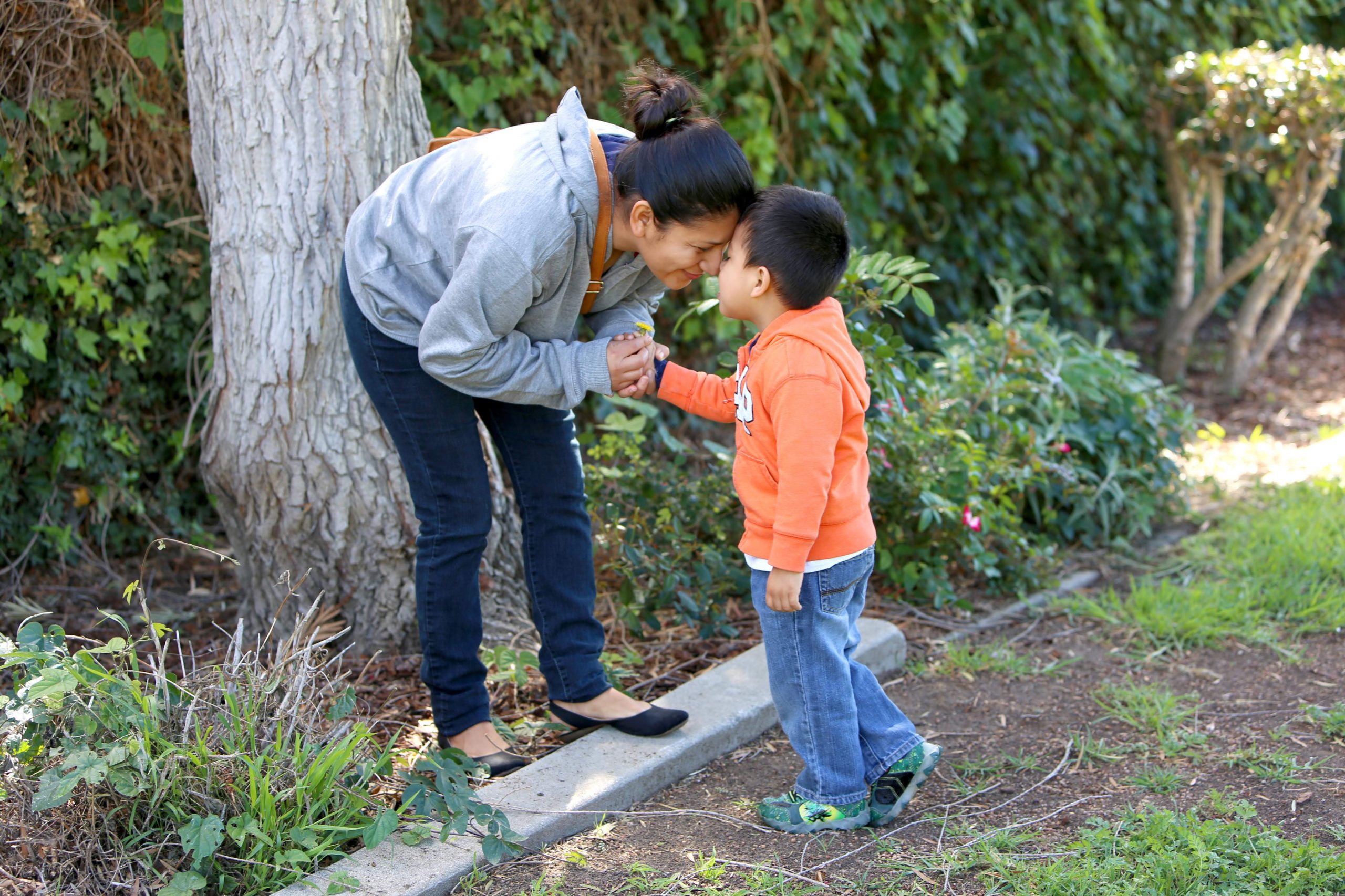 family foster care